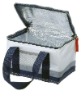 Cooler Bag