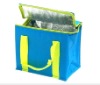 Cooler Bag