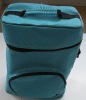 Cooler Bag