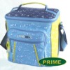 Cooler Bag