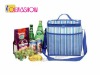 Cooler Bag