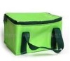 Cooler Bag