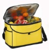 Cooler Bag