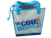 Cooler Bag