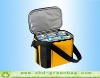 Cooler Bag