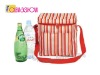 Cooler Bag