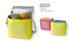Cooler Bag