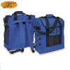 Cooler Bag