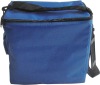 Cooler Bag(MX-B0004)