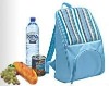 Cooler Bag , ice bag, picnic bag, lunch bag, backpack bag,