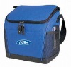 Cooler Bags, can cooler bags, picnic bag