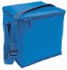 Cooler Bags for Food