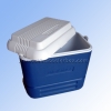 Cooler  Box/plastic box/car cooler box