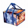 Cooler Shopping Bag