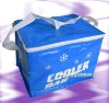 Cooler bag