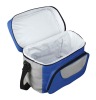 Cooler bag