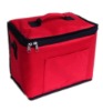 Cooler bag