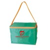 Cooler bag/Ice bag/Cool bag DT-B1254