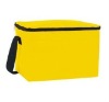 Cooler bag / Picnic cooler bag