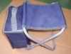 Cooler bag chair