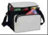 Cooler bag disposable cooler bag