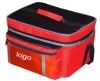 Cooler bag/ice bag