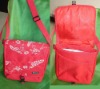 Cooler bag( picnic cooler bag ,food cooler bag,wine cooler bag )