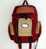 Cooler bag with beverage stents