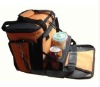 Cooler bag with beverage stents