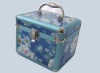 Cosmetic case