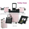 Cosmetic train case ,aluminum makeup box,makeup box TC001