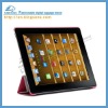Covers and Cases for Ipad 2 Skin for Ipad 2