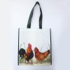 Custom Promotional Non woven Bag