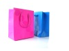 Custom printed paper bag for clothing store