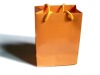 Custom printed paper shopping bag