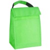 Cute cooler picnic bag for food and drink