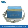 Cute fashion wine cooler bag