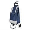 Cute trolley luggage bag
