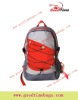 DM476 beautyful  backpack