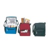 Daily Insulated 600D Cooler Lunch Bag