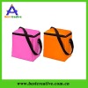 Delux Food Cooler lunch picnic cooler  bag for food