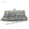 Designer Aluminum evening handbag WI-0802