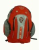 Designer Branded Backpacks And Picnic Backpack