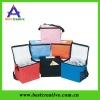 Diabetic Diabetes Cooler Organizer Travel Bag Case Pack  / New Insulated Fashionable Cooler Tote Bag 5 Colors