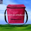 Disposable Ice Cooler Bag