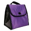 Disposable Wine Cooler Bag