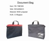 Document Bag