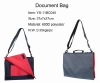 Document Bag