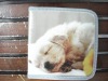 Dog Carton CD bag