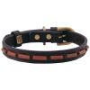 Dog Collar